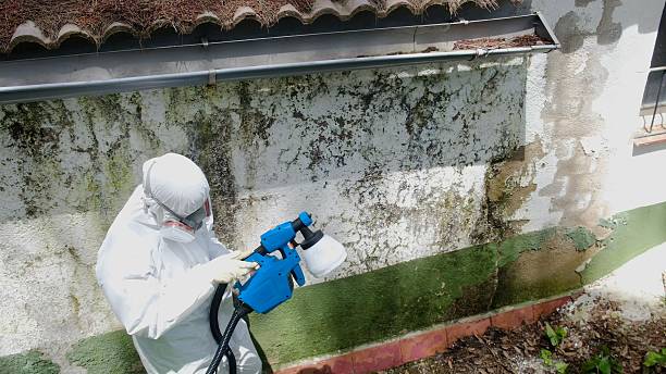 Top rated local Mold Remediation specialists in Dresher, PA